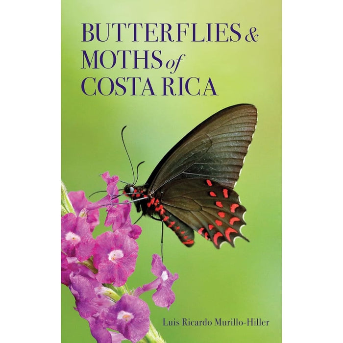 Guía de Mariposas & Polillas de Costa Rica