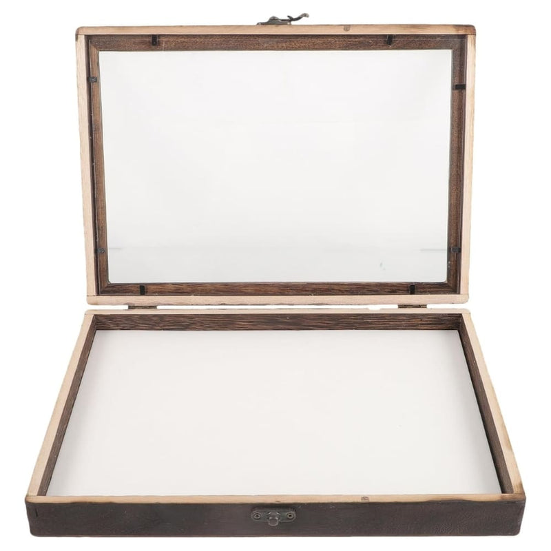 Vitrina de Insectos VOSAREA 3D con Tablero de Alfileres