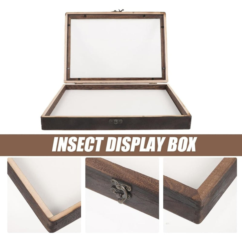 Vitrina de Insectos VOSAREA 3D con Tablero de Alfileres