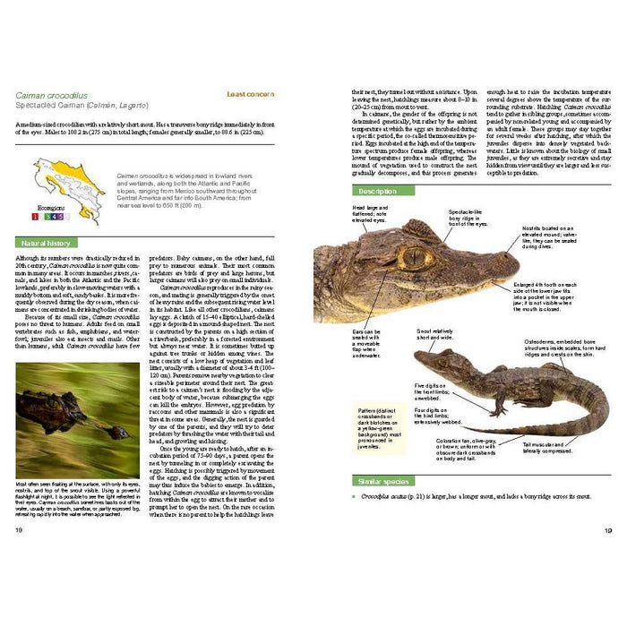 Guía de Reptiles de Costa Rica