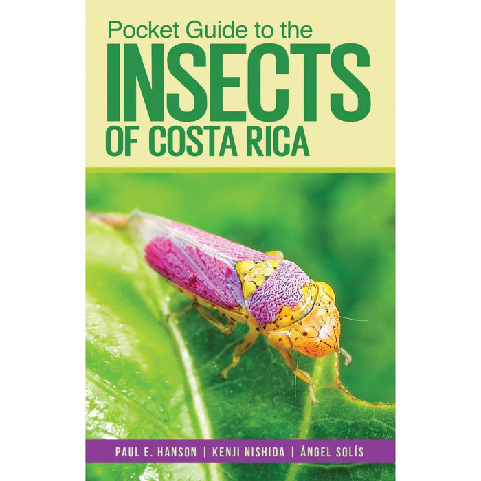 Guía de Insectos de Costa Rica