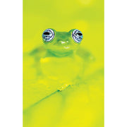 Guía de Anfibios y Reptiles de Costa Rica