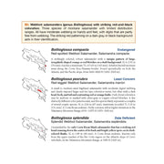 Guía de Anfibios y Reptiles de Costa Rica