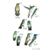 Guía de Aves de Costa Rica