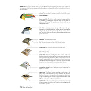 Guía de Aves de Costa Rica