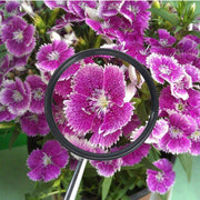 Lupa Sanung Z-21 de 30X